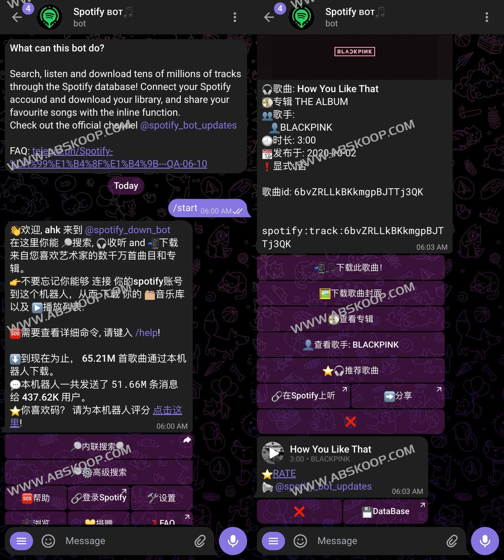 Spotify音乐下载工具 支持Flac无损音乐下载-Spotify BOT
