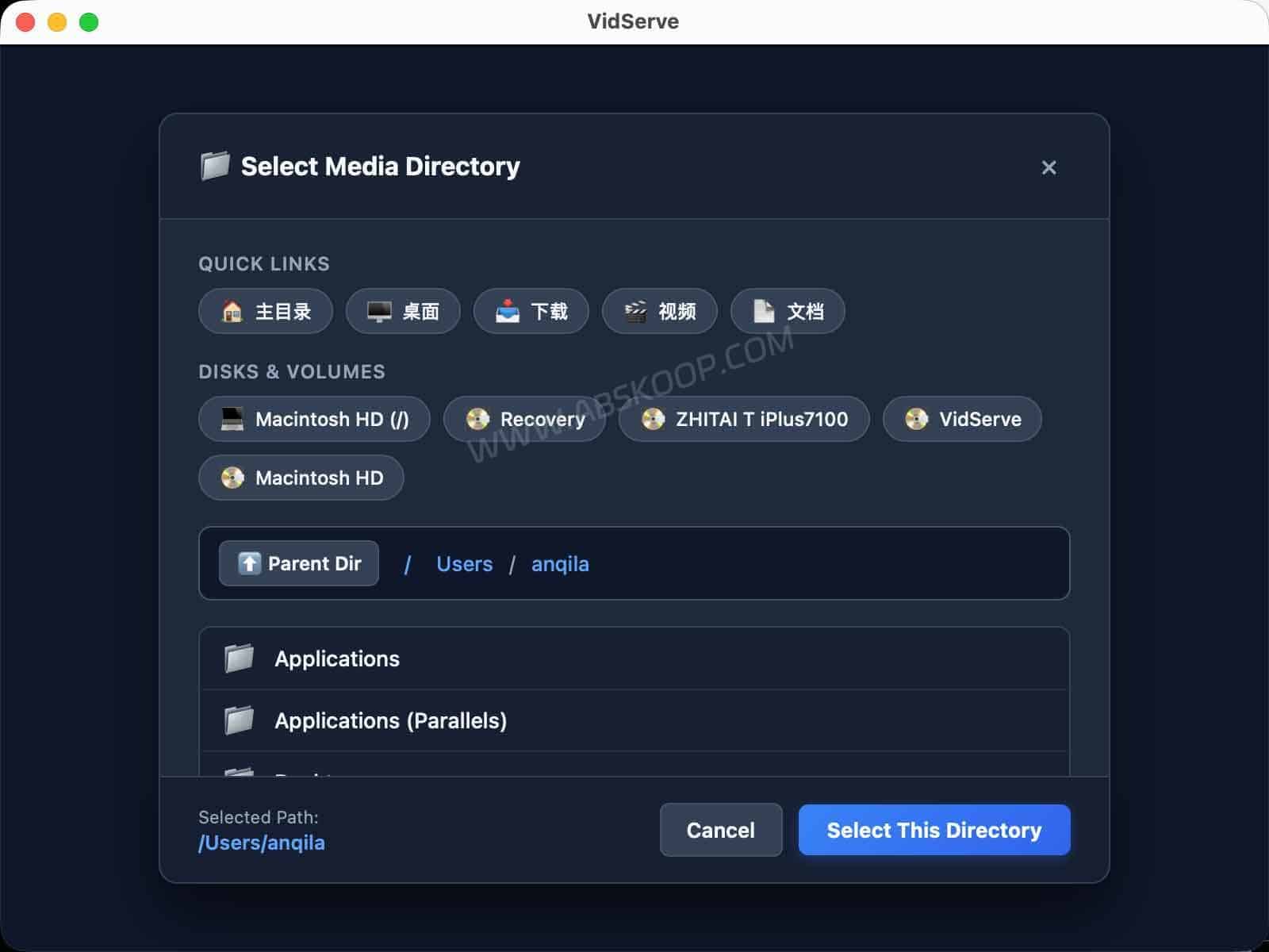 VidServe:一键把电脑视频目录变成局域网视频服务器 VidServe 软件设置界面及局域网视频服务相关选项