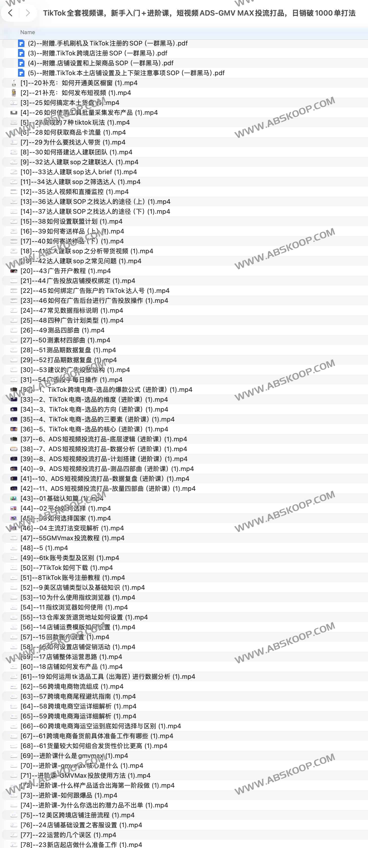 TikTok全套电商实战课：ADS投流+达人带货+GMV MAX增长打法