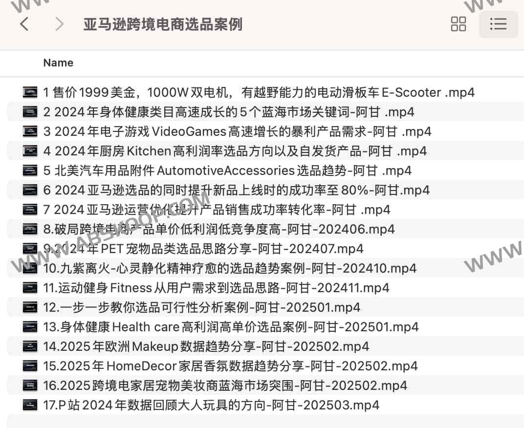 2025亚马逊跨境电商选品案例