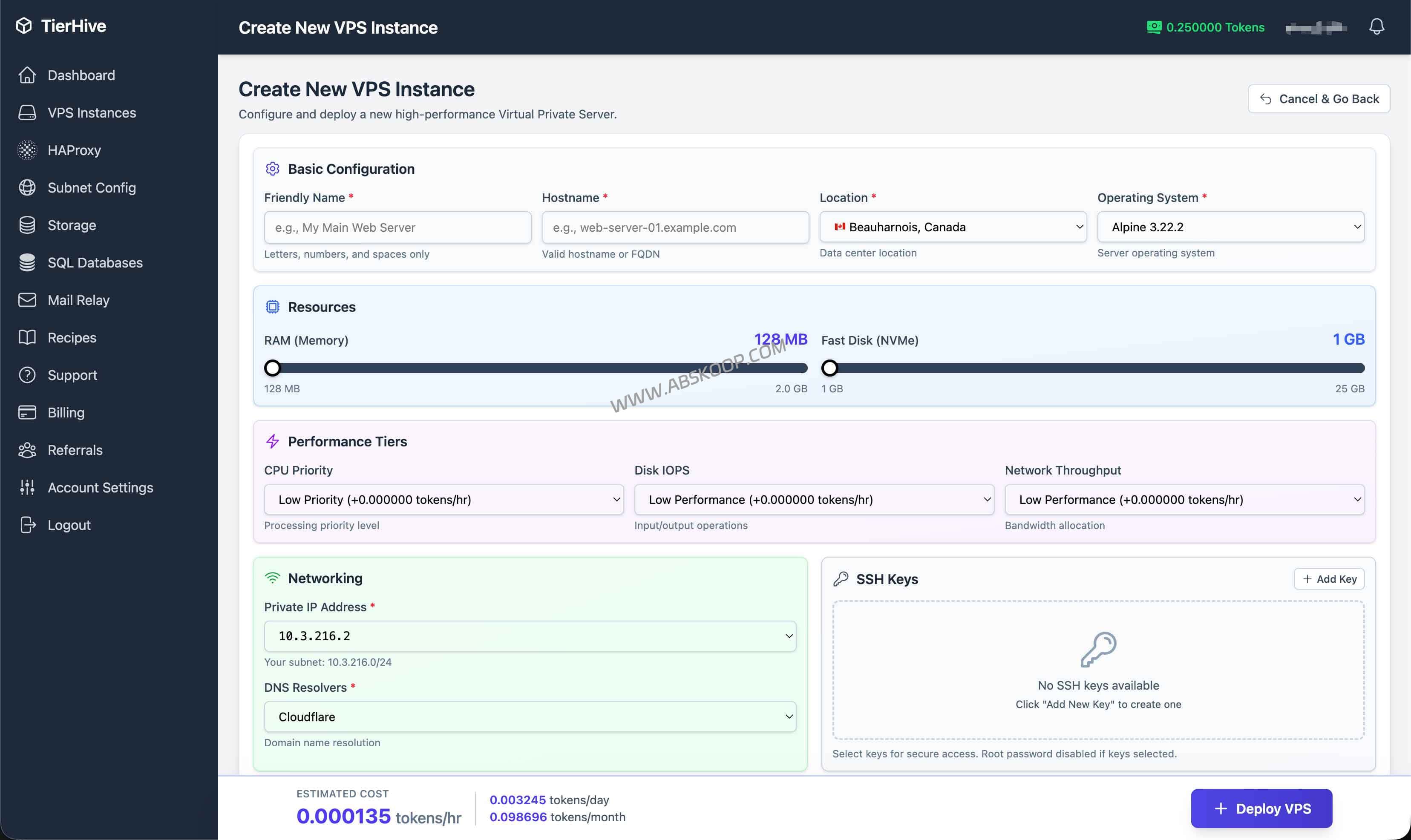 2026 Linux 学习沙盒：TierHive 按小时计费 VPS 评测与部署指南