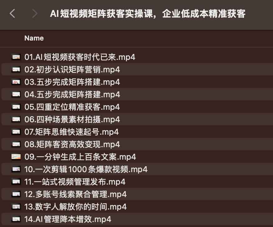AI短视频矩阵获客实操课，企业低成本精准获客