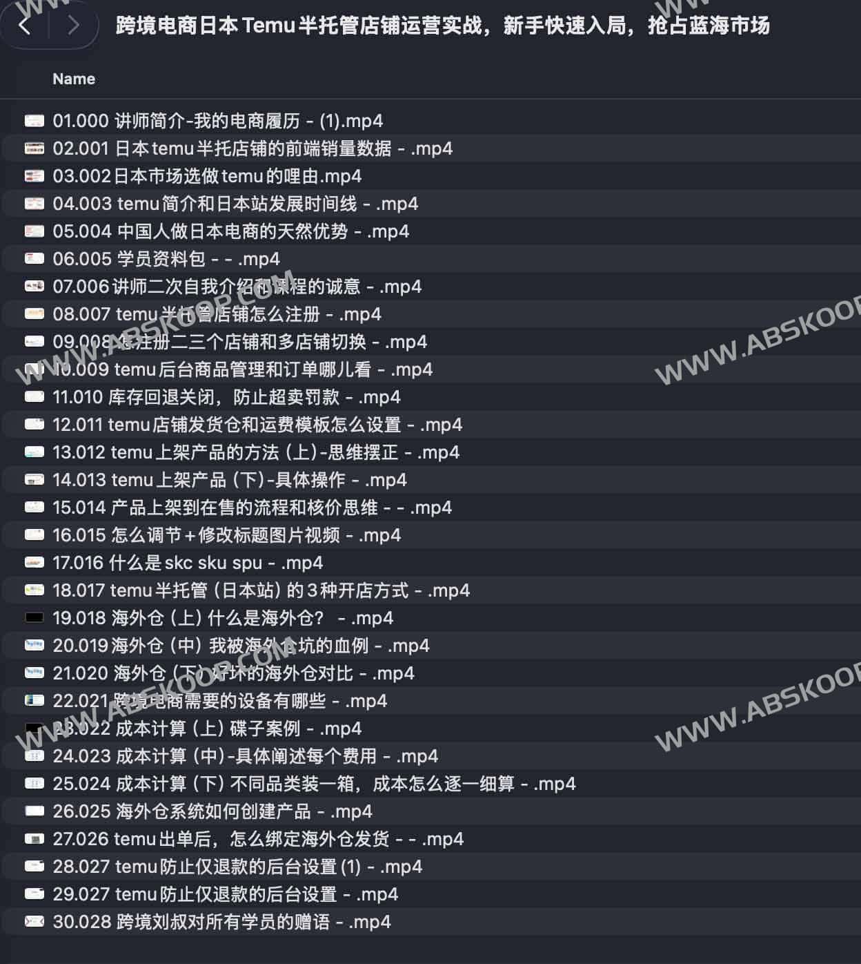 跨境电商日本Temu半托管店铺运营实战，新手快速入局，抢占蓝海市场