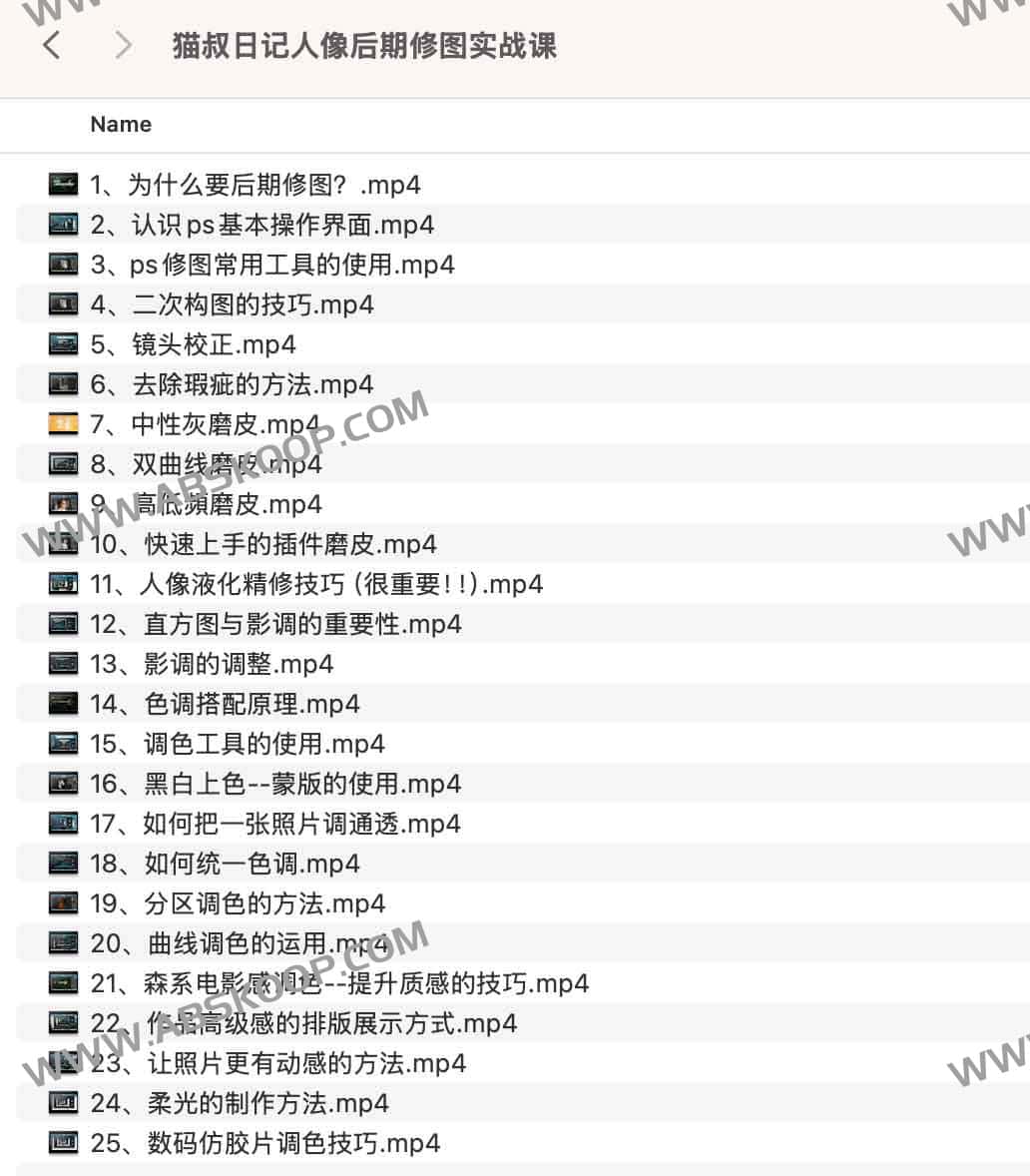 猫叔日记人像后期修图实战课