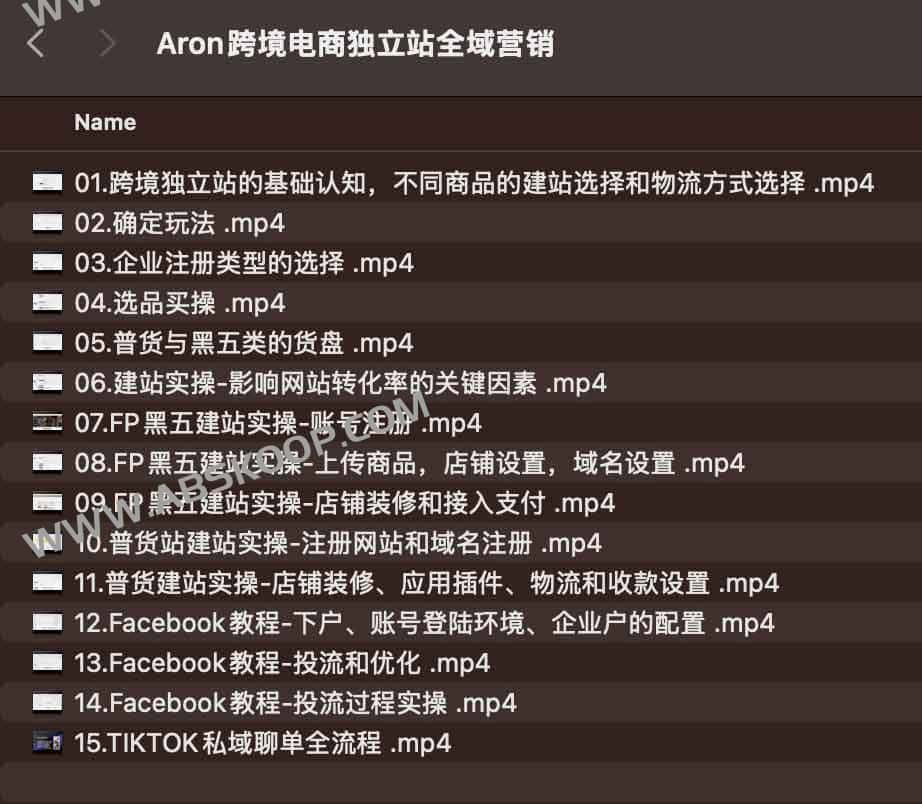 Aron跨境电商独立站全域营销