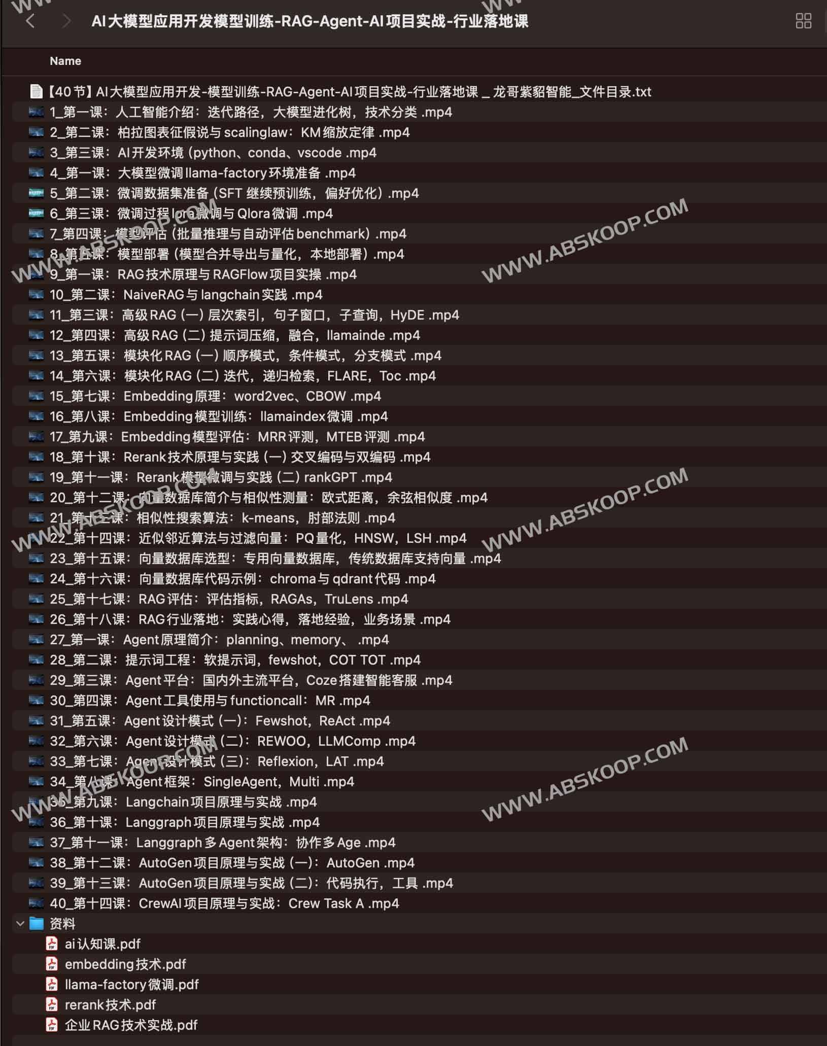 AI大模型应用开发​模型训练-RAG-Agent-AI项目实战-行业落地课