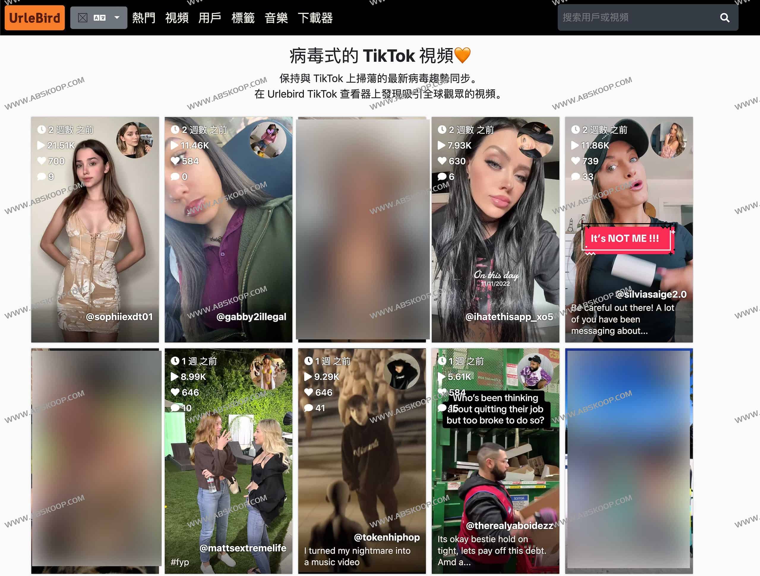 TikTok镜像网站 轻松在线刷TikTok视频-Urlebird