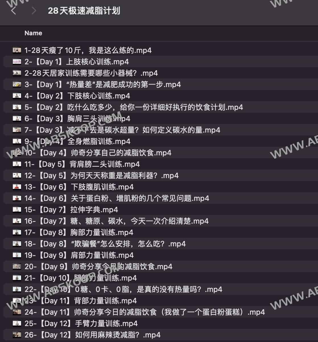 B站 闫帅奇 28天极速减脂计划