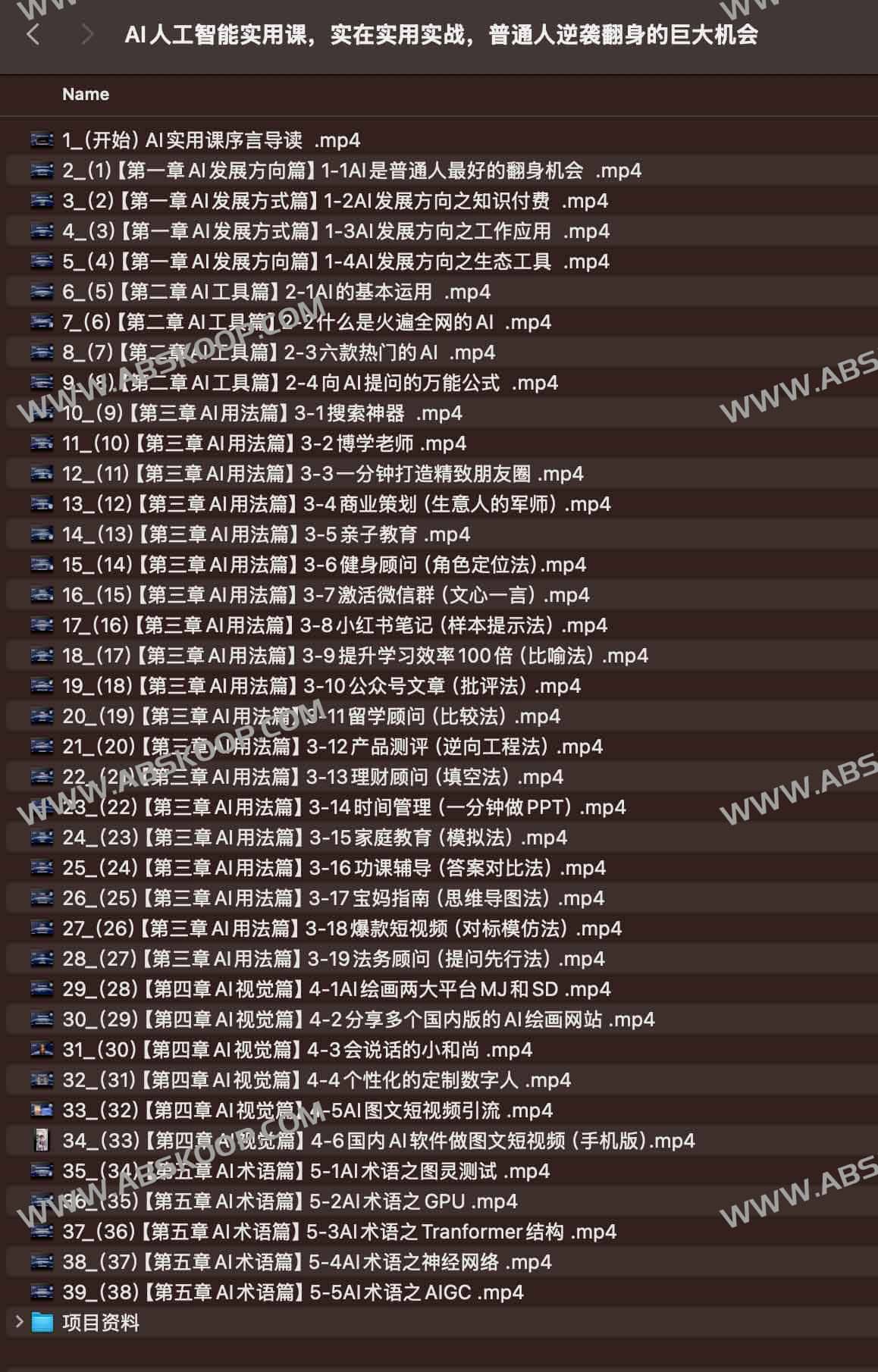 AI人工智能实用课，实在实用实战，普通人逆袭翻身的巨大机会