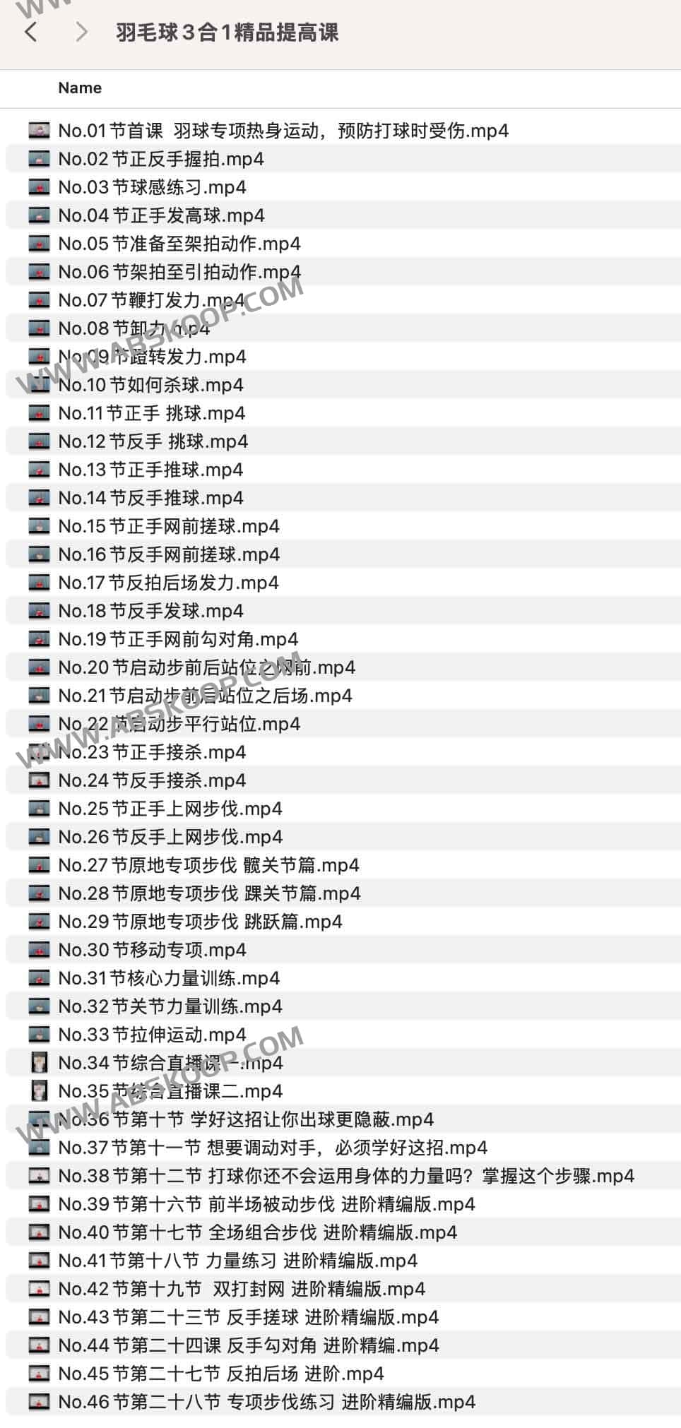 羽毛球3合1精品提高课