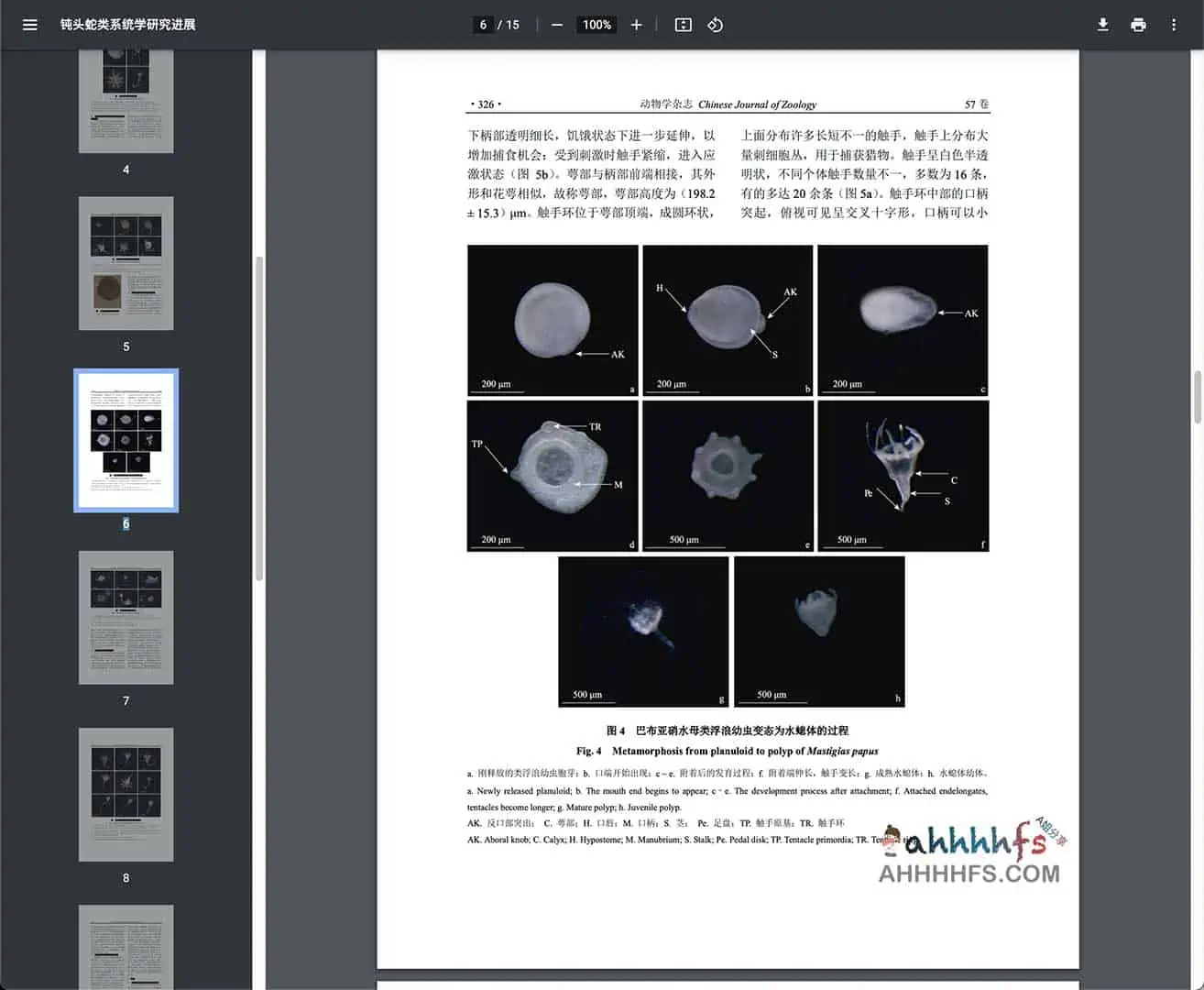 中科院 1957-2022各期动物杂志下载 PDF电子版