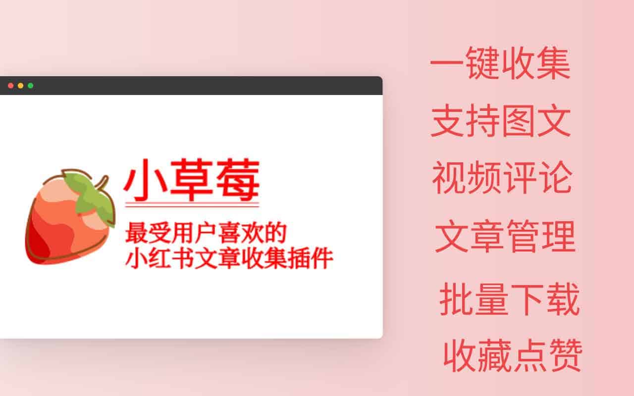 小草莓：小红书文章视频采集助手 一键批量收集/下载图片、视频等多种类型笔记内容