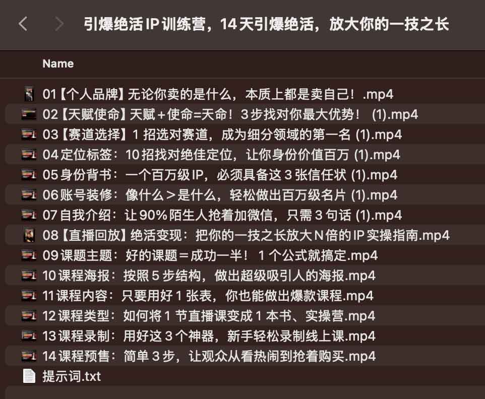 引爆绝活IP训练营，14天引爆绝活，放大你的一技之长