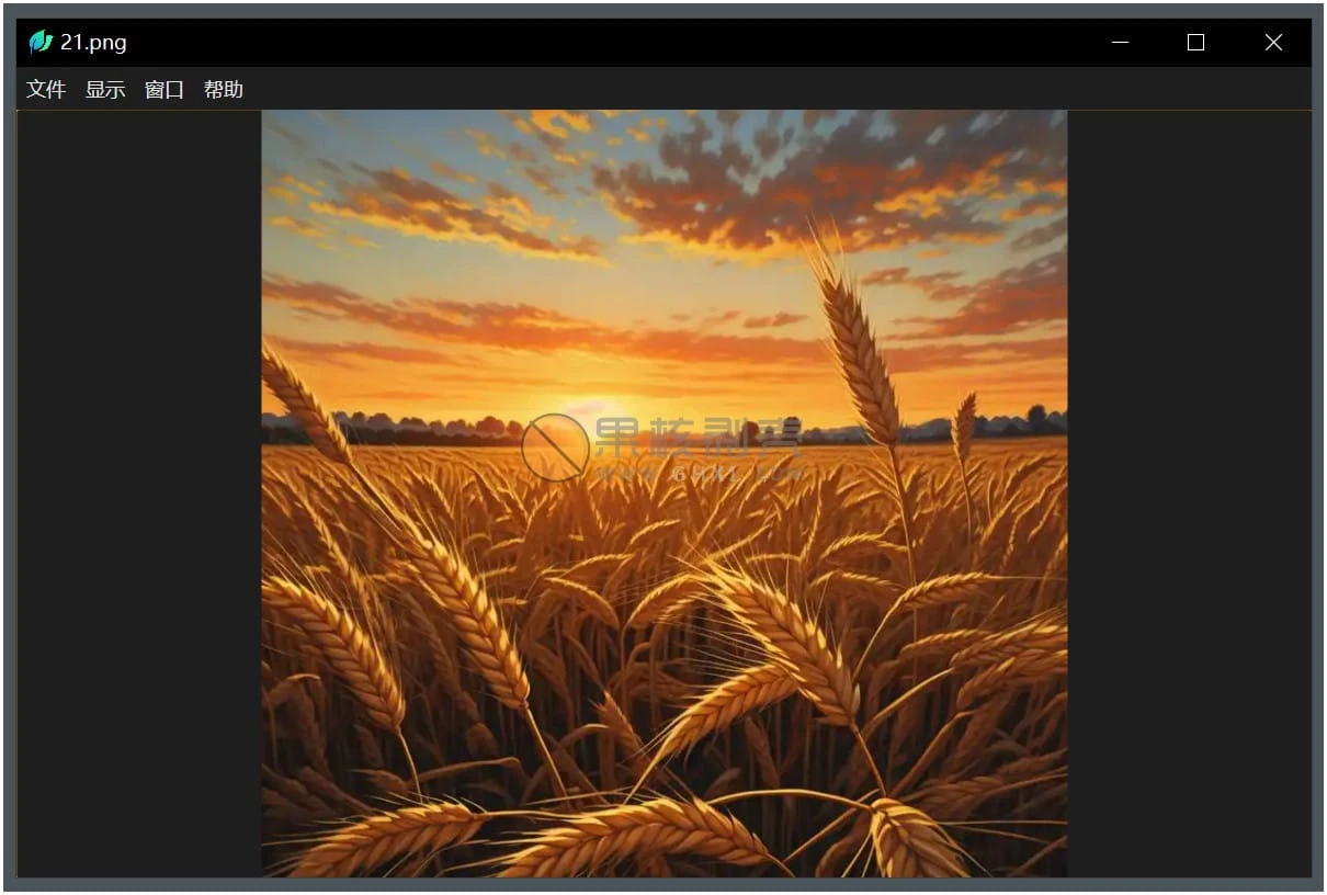 LeafView(图片查看器) v4.2.2 绿色版插图