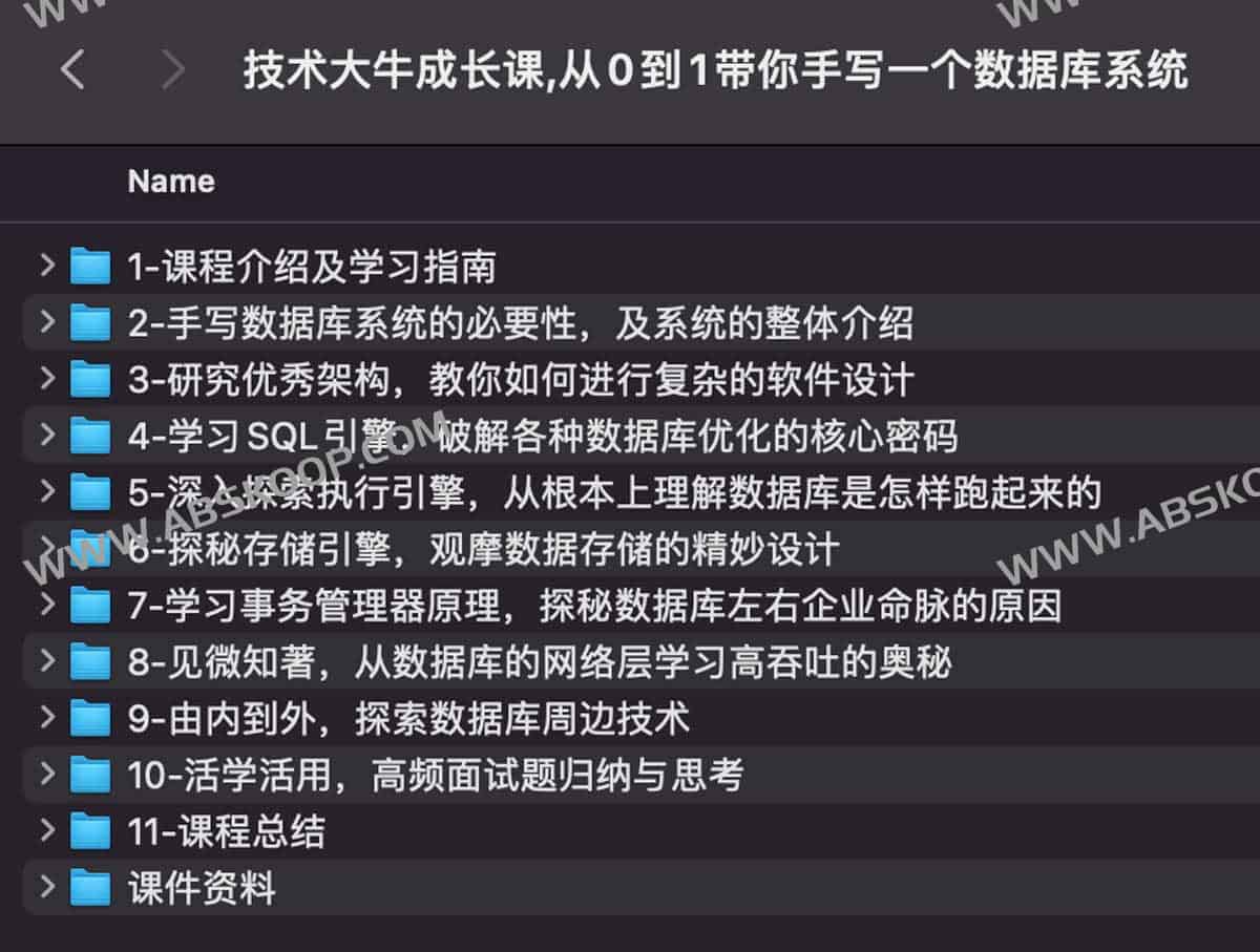 技术大牛成长课,从0到1带你手写一个数据库系统