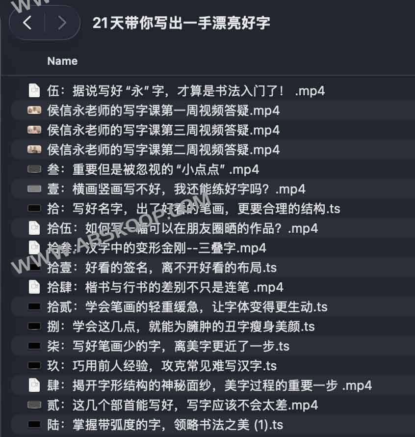 21天带你写出一手漂亮好字