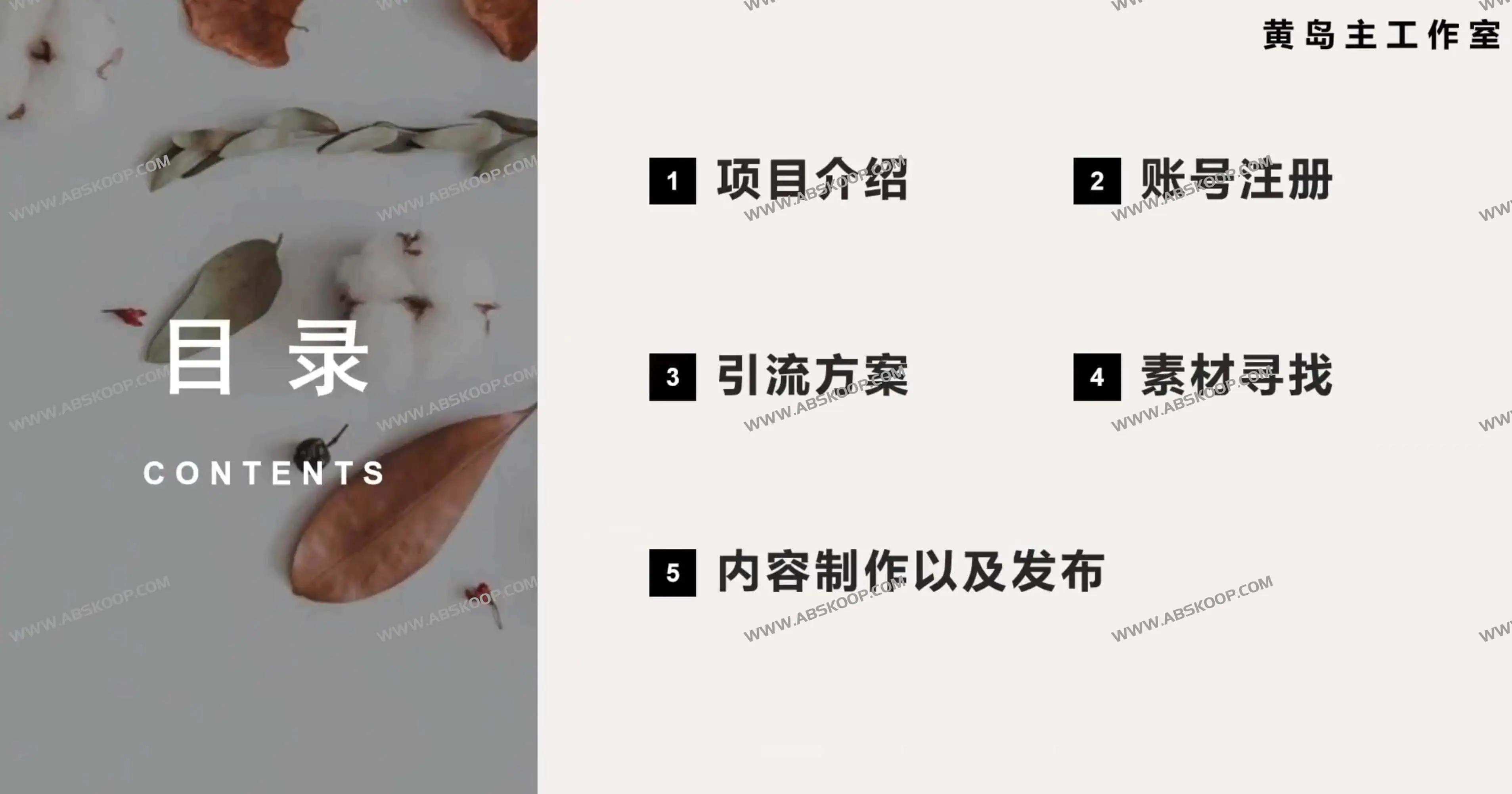 小红书各行业引流玩法，从养号到制作到引流等，一条龙分享给你【揭秘】