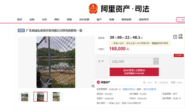 活鳄鱼上架阿里拍卖,公告提示需自行抓捕插图 活鳄鱼上架阿里拍卖,公告提示需自行抓捕插图