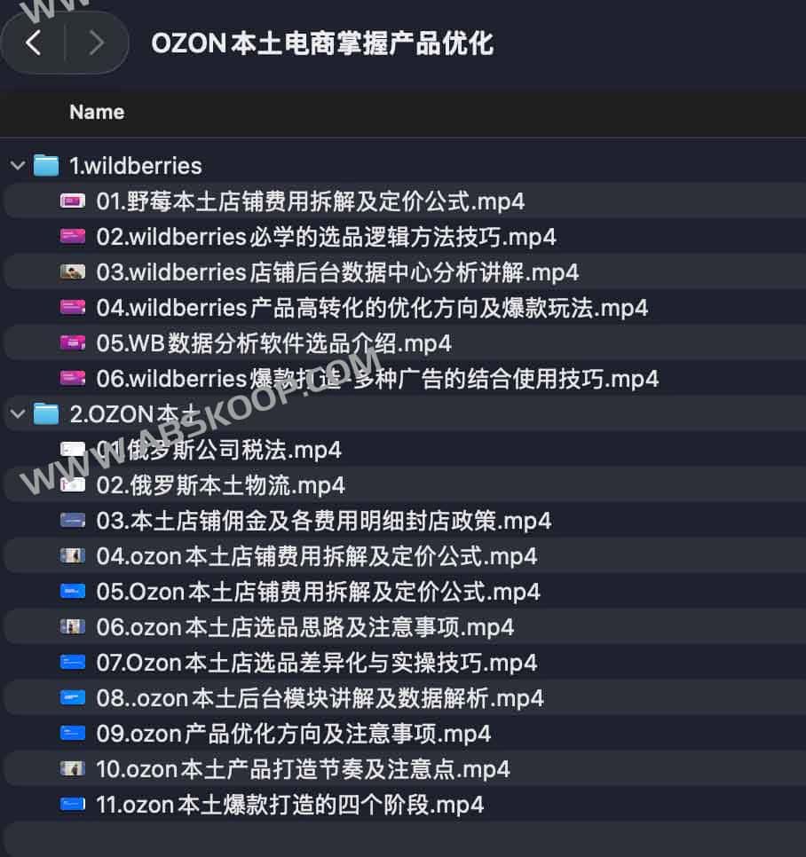 OZON本土电商掌握产品优化