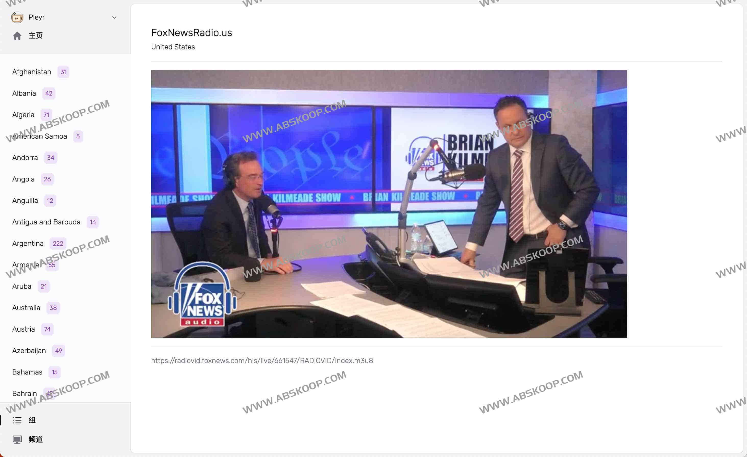 Pleyr：基于浏览器的IPTV播放器