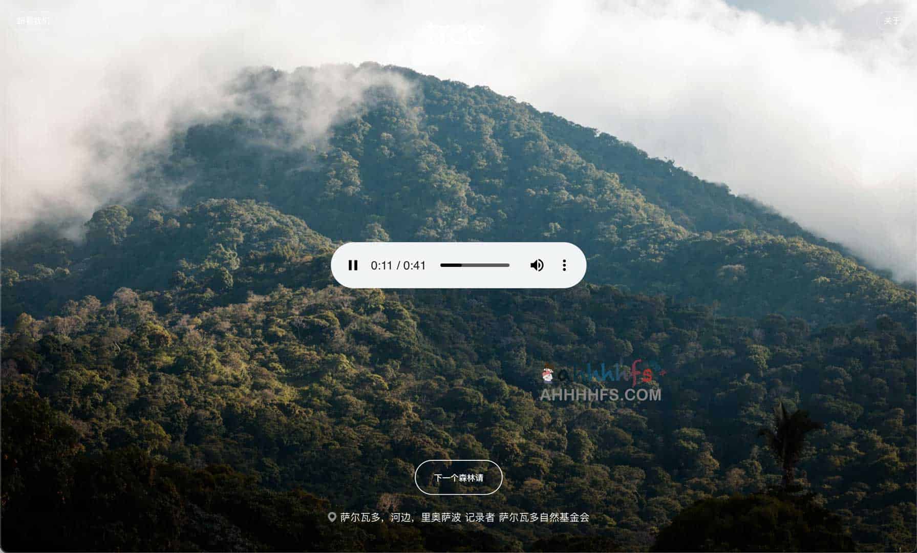 TreeFM-收听来自世界各地的森林声音 适合冥想放松