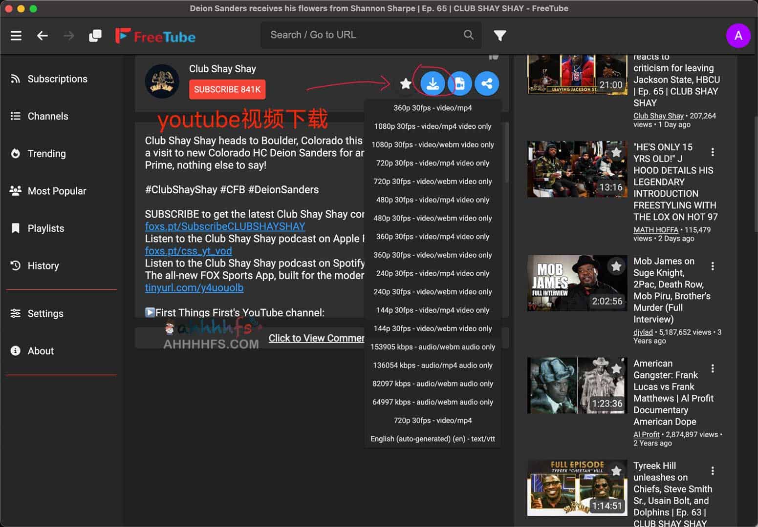 免费开源YouTube第三方客户端 去广告-FreeTube
