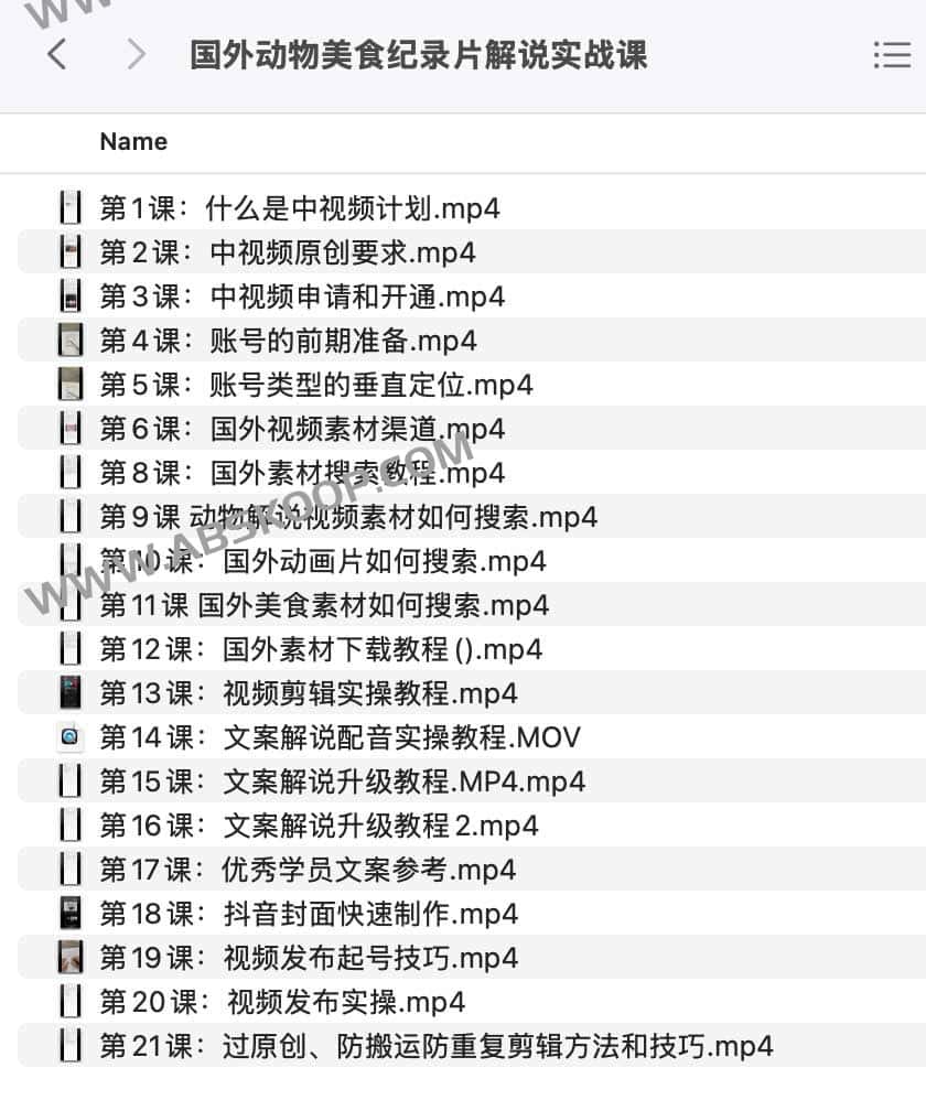 国外动物美食纪录片解说实战课