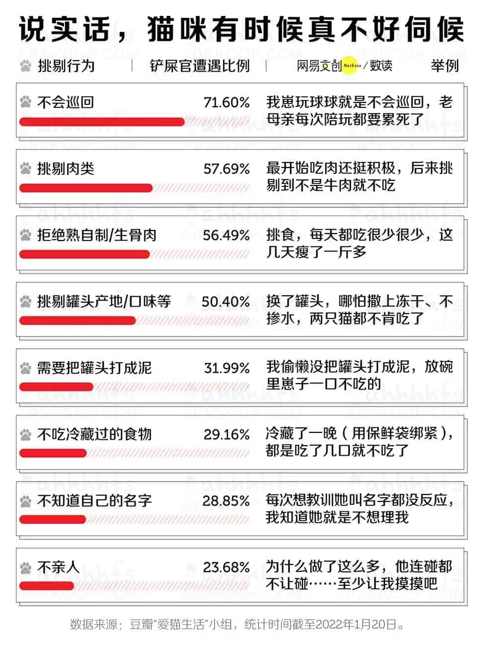 养猫劝退指南，每一条都扎心