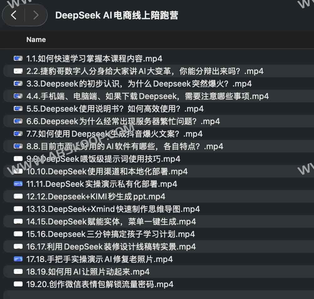 DeepSeek AI电商线上陪跑营
