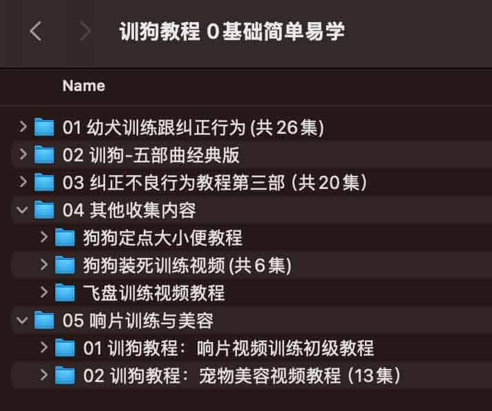 训狗教程视频 训狗师专业指导零基础自学宠物训练犬课程