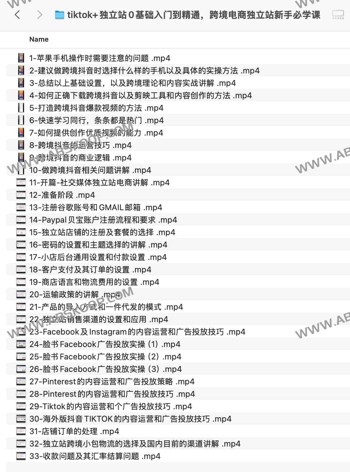tiktok+独立站0基础入门到精通，跨境电商独立站新手必学课