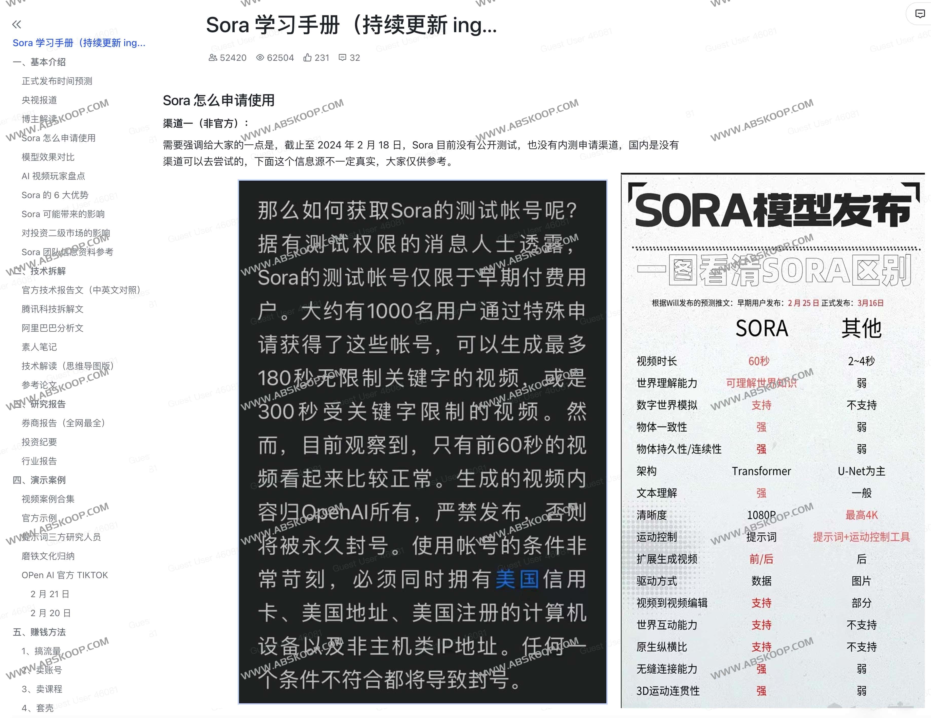 Sora 学习手册