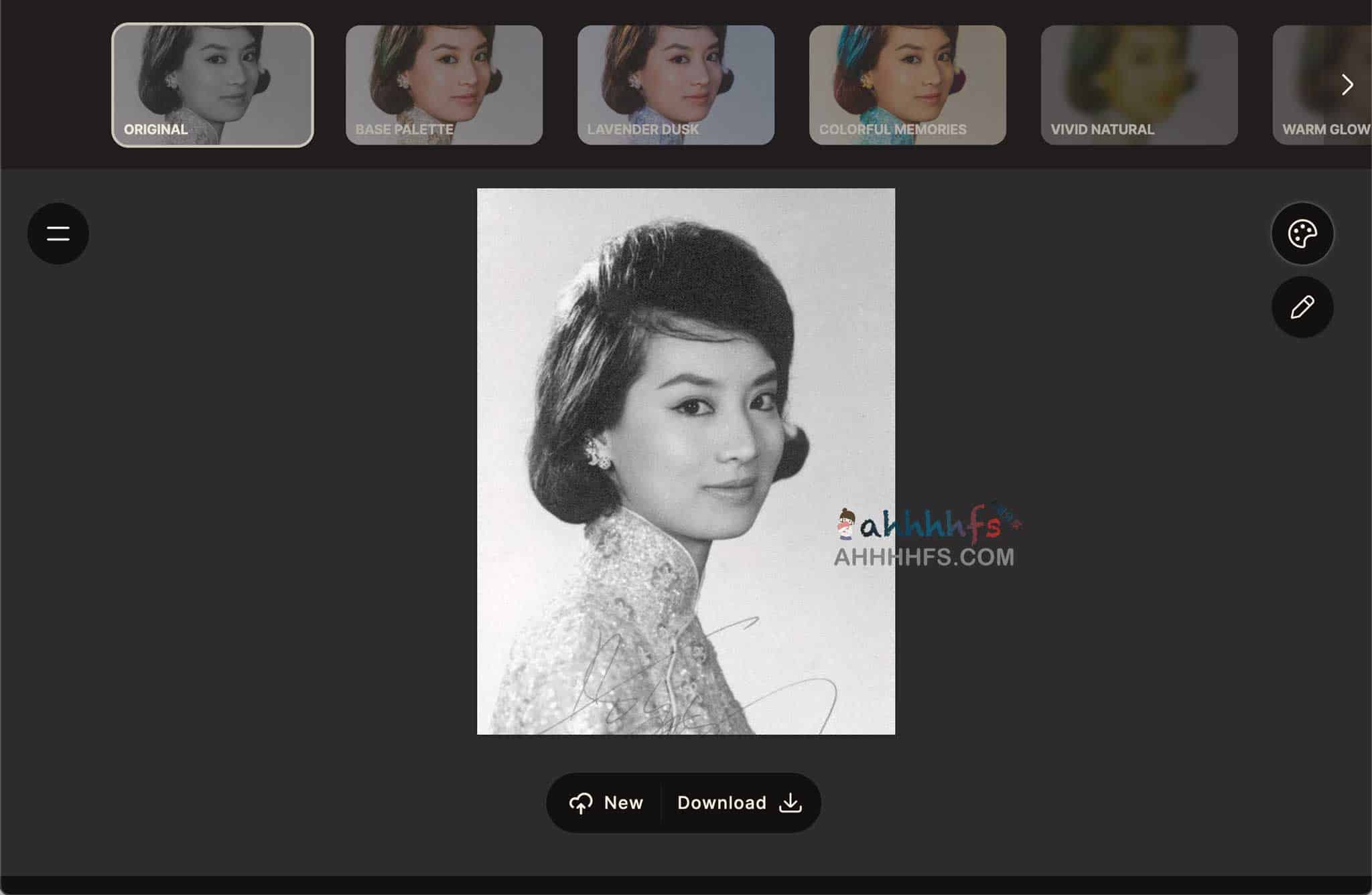 AI黑白照片上色工具 老照片修复- Palette