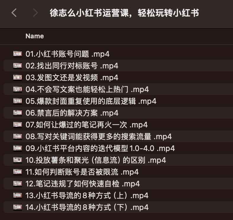 徐志么小红书运营课，轻松玩转小红书