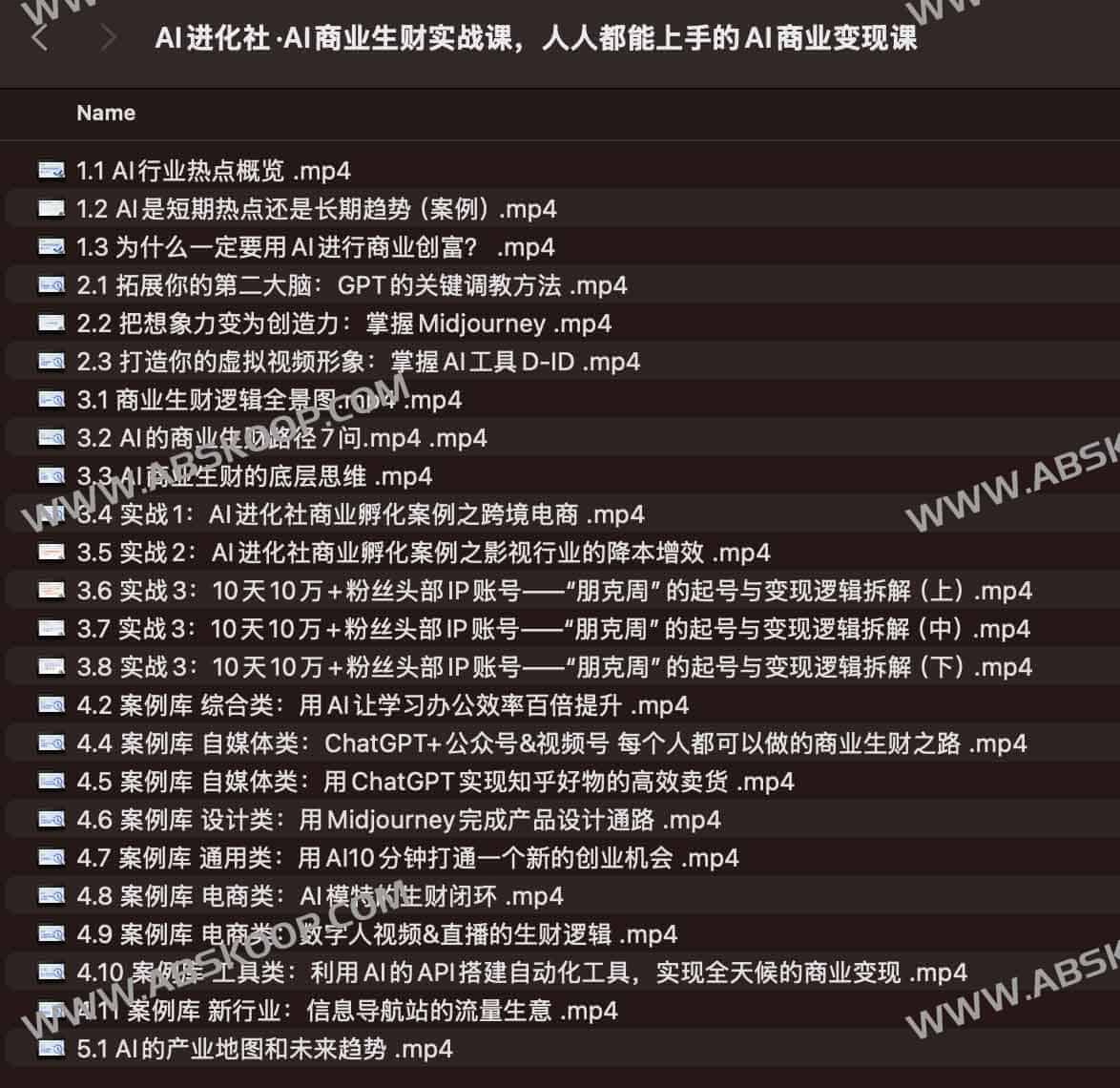 AI进化社·AI商业生财实战课，人人都能上手的AI商业变现课