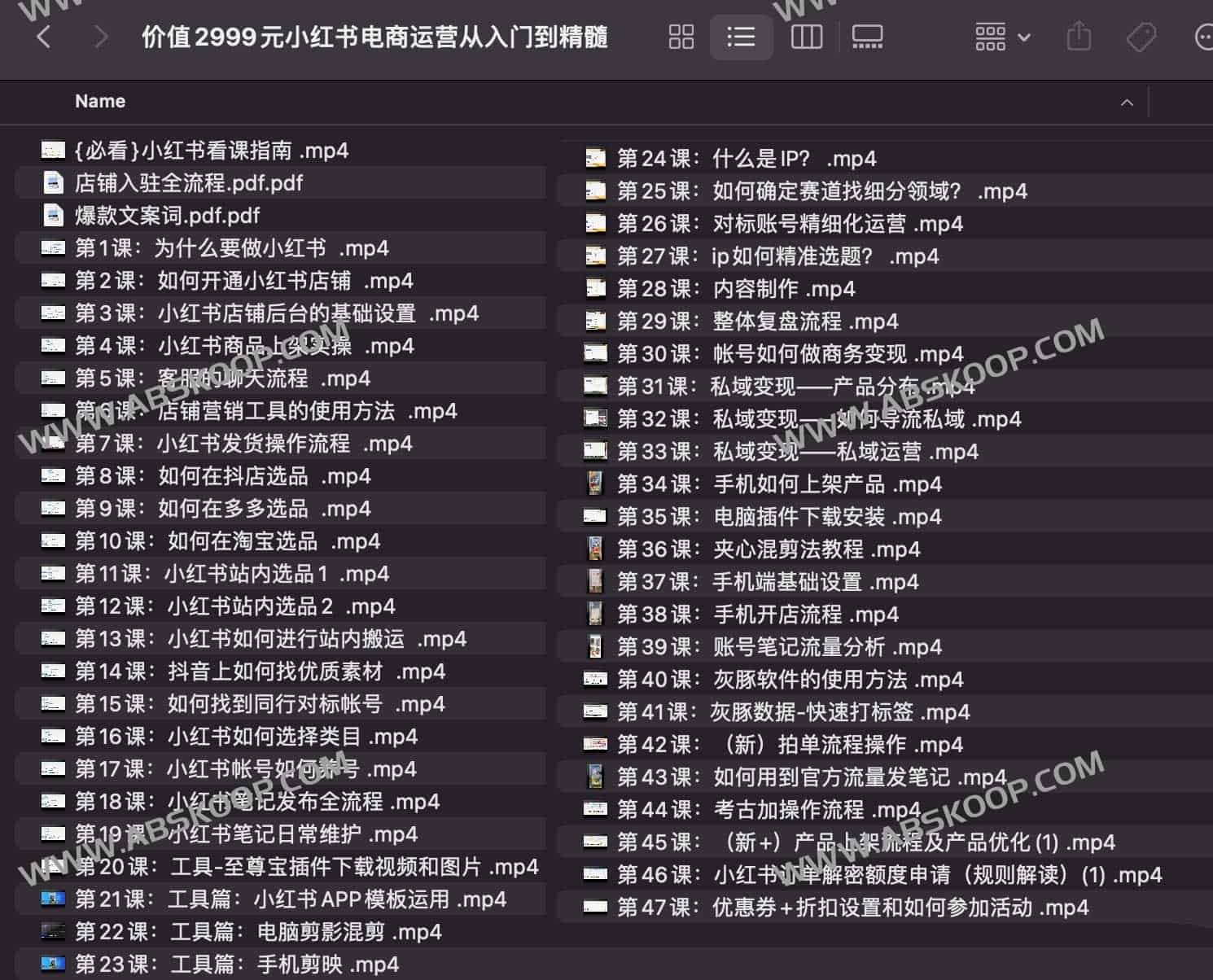 价值2999元小红书电商运营从入门到精髓