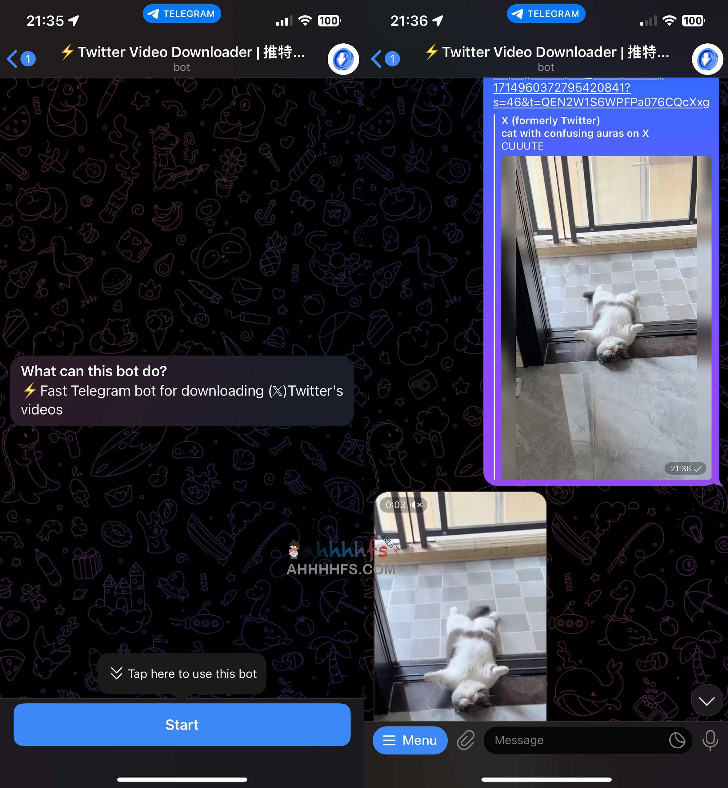 推特视频下载工具机器人-Twitter Video Downloader