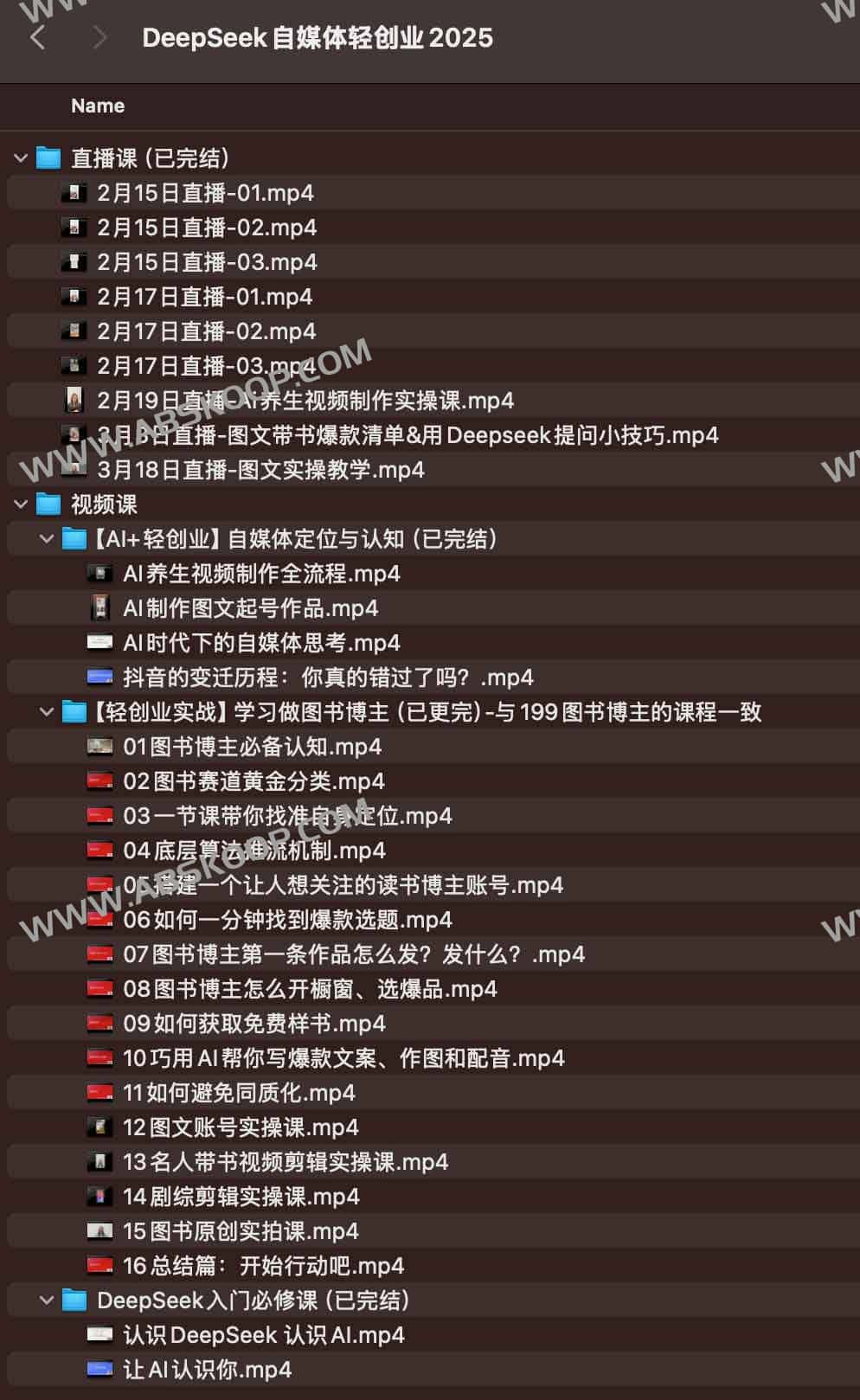 DeepSeek自媒体轻创业2025