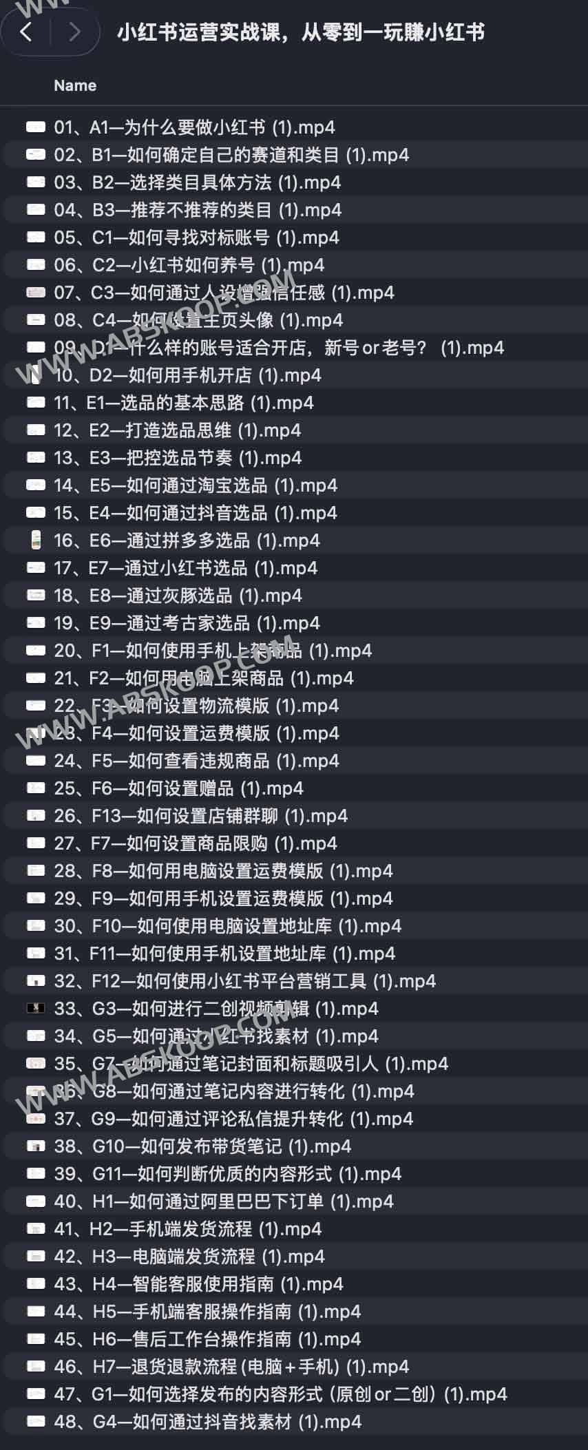 小红书运营实战课，从零到一玩賺小红书