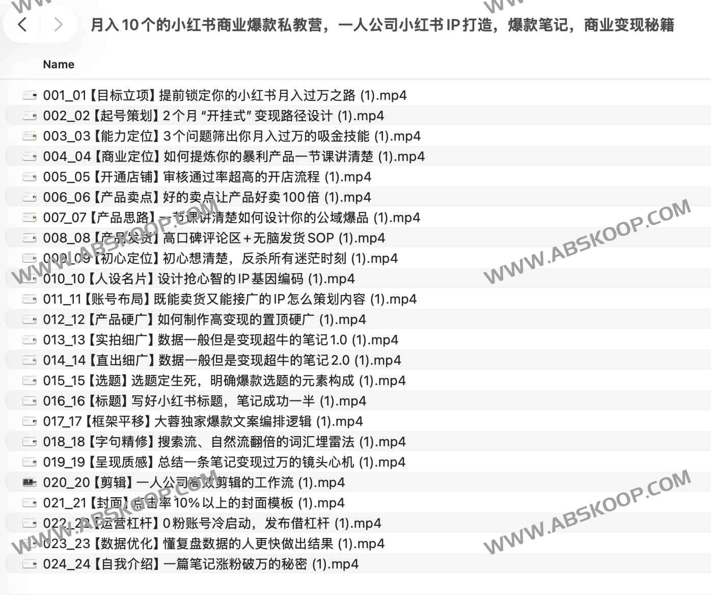 月入10个的小红书商业爆款私教营，一人公司小红书IP打造，爆款笔记，商业变现秘籍