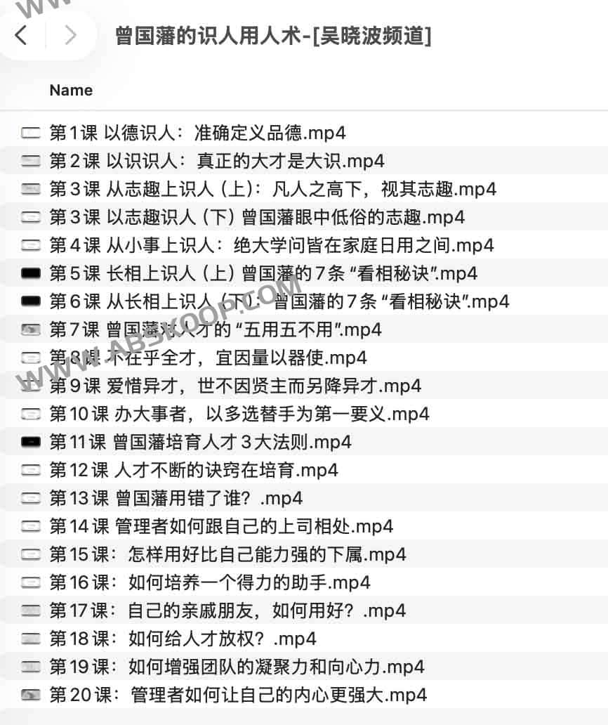曾国藩的识人用人术-[吴晓波频道]