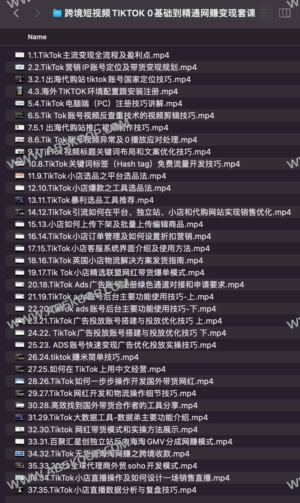跨境短视频TIKTOK 0基础到精通网赚变现套课，跨境短视频独立站带货变现技巧