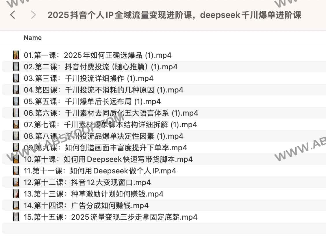 2025抖音个人IP全域流量变现进阶课，deepseek千川爆单进阶课