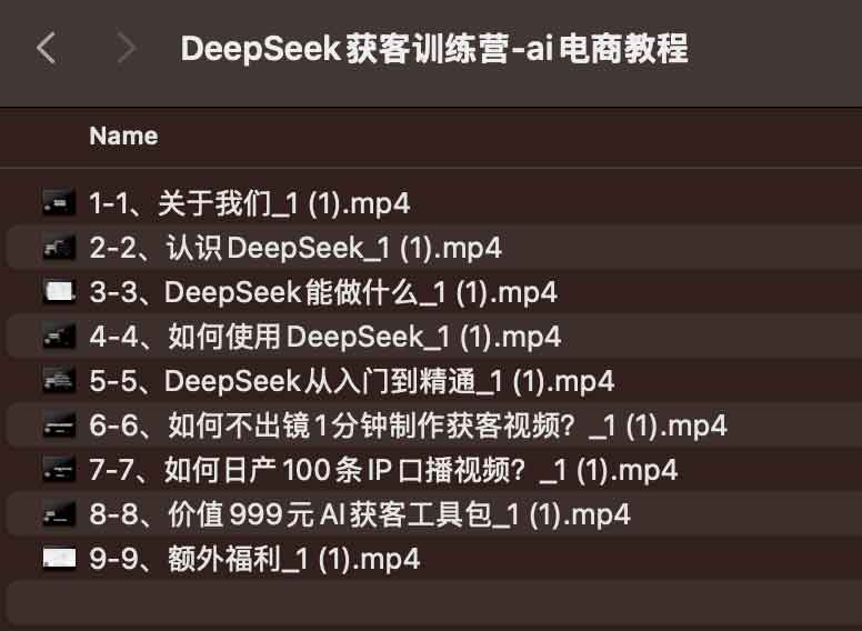 DeepSeek获客训练营-ai电商教程