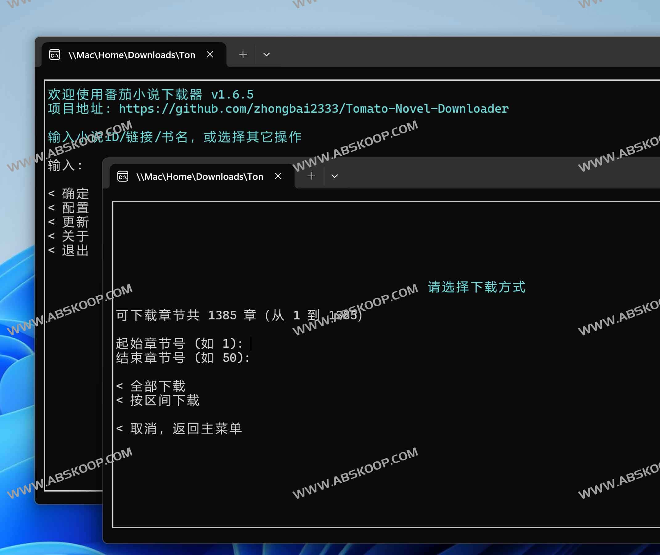 番茄小说下载器精简版：跨平台小说下载工具，支持EPUB格式与断点续传