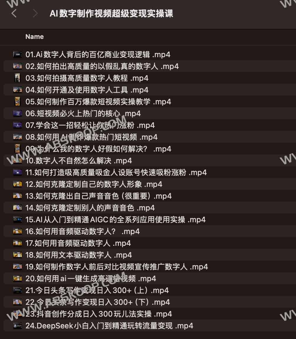AI数字制作视频超级变现实操课