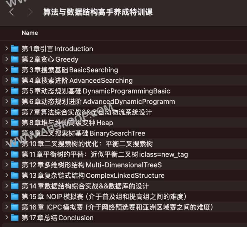 算法与数据结构高手养成特训课