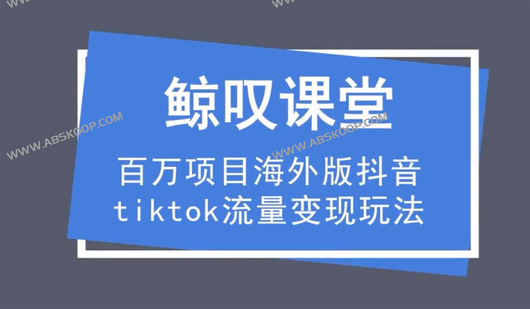 海外版抖音tiktok流量变现玩法