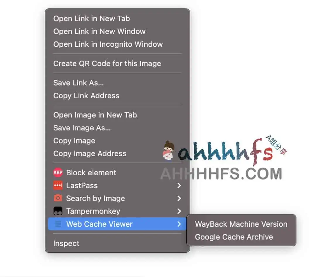 Google 页面快照/网页缓存查看器-Web Cache Viewer
