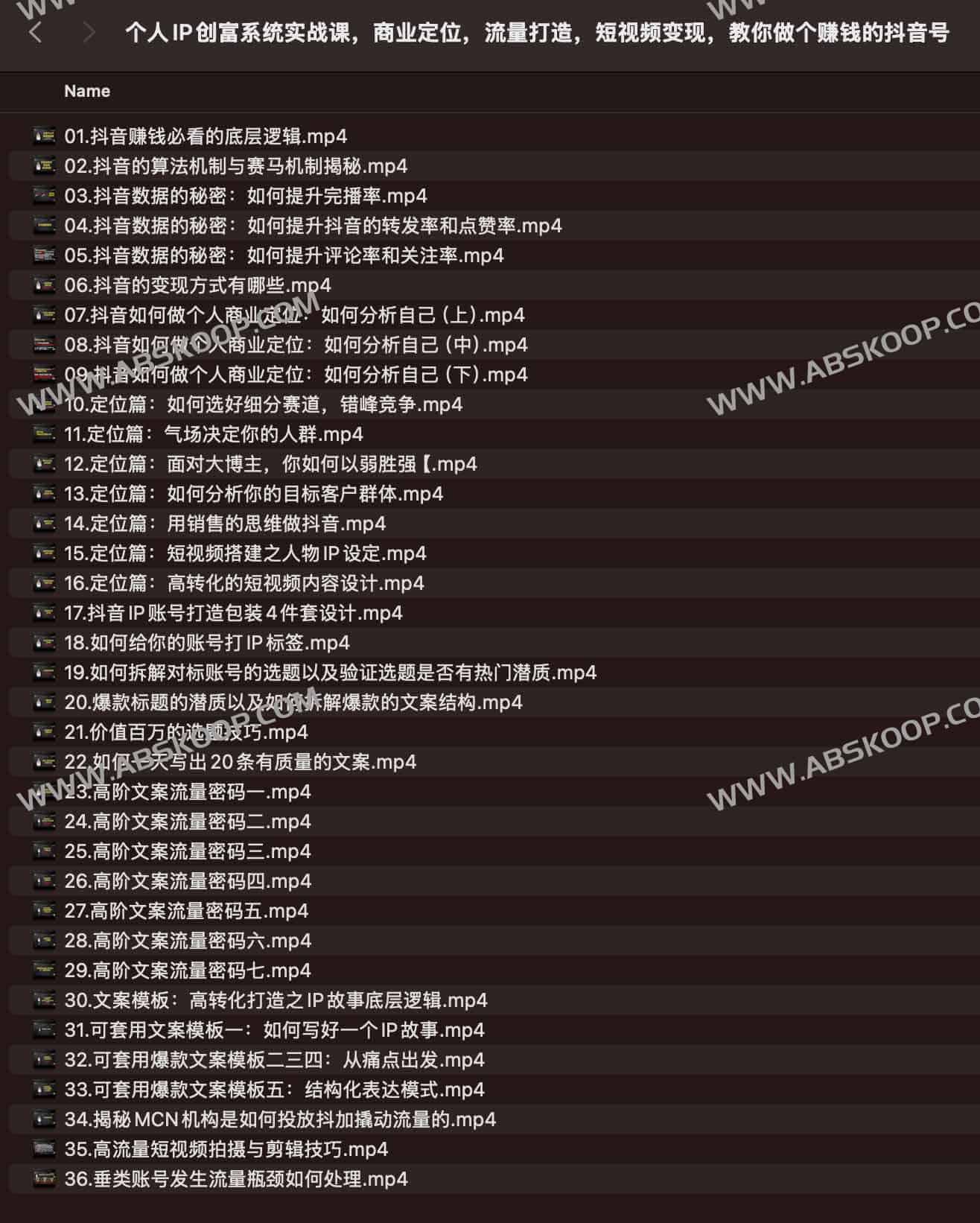 个人IP创富系统实战课，商业定位，流量打造，短视频变现，教你做个赚钱的抖音号